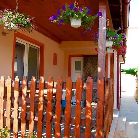 Gazde/Camere de închiriat Casa Cu Castan *