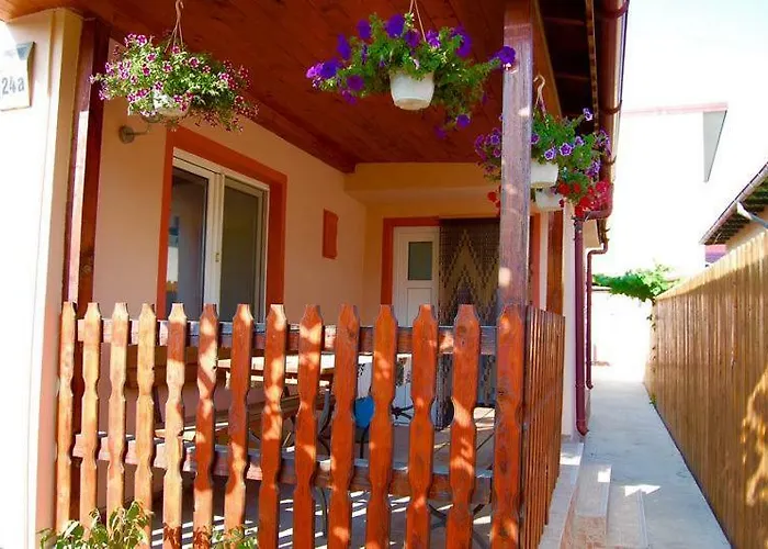 Gazde/Camere de închiriat Casa Cu Castan *