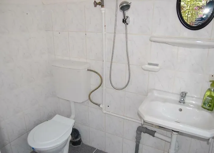 Gazde/Camere de închiriat Casa Cu Castan Eforie Nord